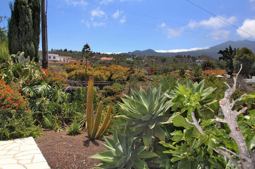 Hotel Jardin De Aridane El Paso Exterior foto